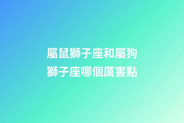 屬鼠獅子座和屬狗獅子座哪個厲害點-第1張-星座運勢-玄機派