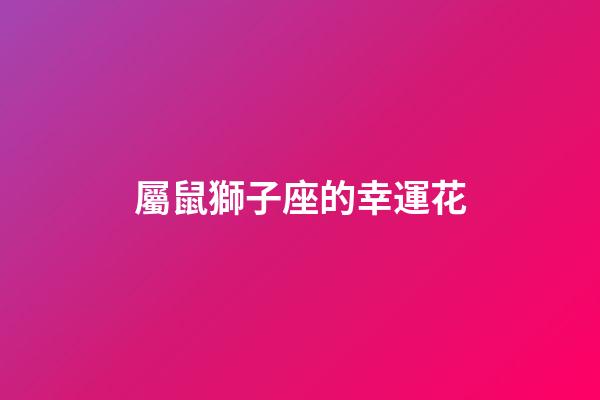 屬鼠獅子座的幸運花