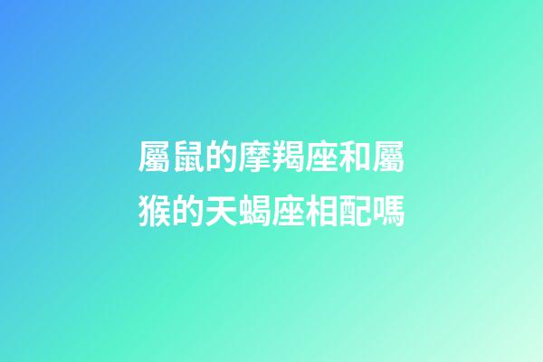 屬鼠的摩羯座和屬猴的天蝎座相配嗎-第1張-星座運(yùn)勢-玄機(jī)派