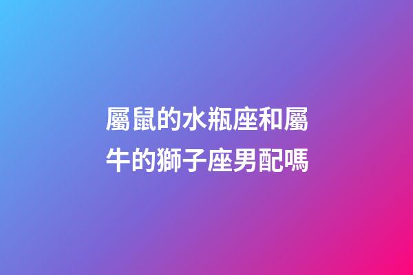 屬鼠的水瓶座和屬牛的獅子座男配嗎-第1張-星座運勢-玄機派