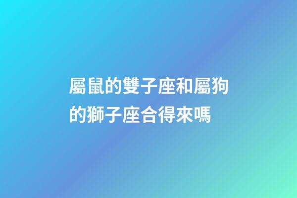 屬鼠的雙子座和屬狗的獅子座合得來嗎-第1張-星座運勢-玄機派