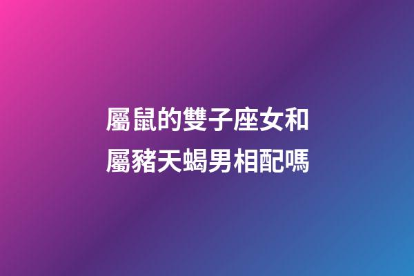屬鼠的雙子座女和屬豬天蝎男相配嗎-第1張-星座運勢-玄機派