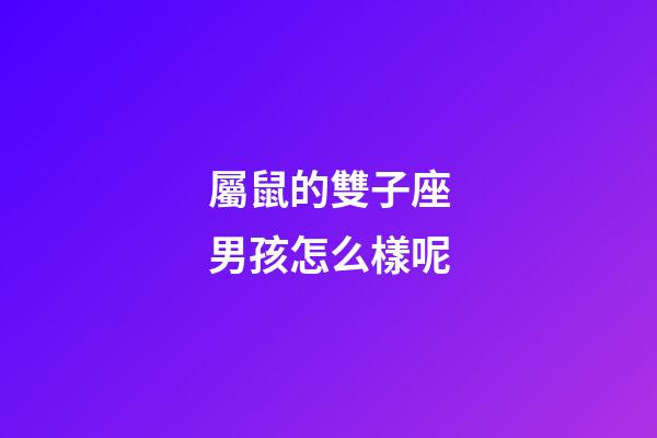 屬鼠的雙子座男孩怎么樣呢-第1張-星座運勢-玄機派
