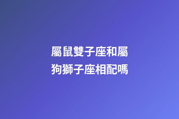 屬鼠雙子座和屬狗獅子座相配嗎-第1張-星座運(yùn)勢(shì)-玄機(jī)派