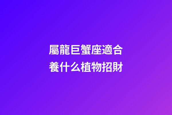 屬龍巨蟹座適合養什么植物招財-第1張-星座運勢-玄機派