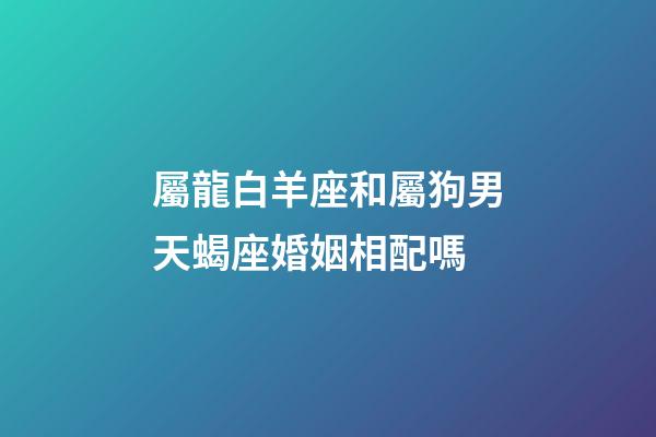 屬龍白羊座和屬狗男天蝎座婚姻相配嗎-第1張-星座運(yùn)勢(shì)-玄機(jī)派
