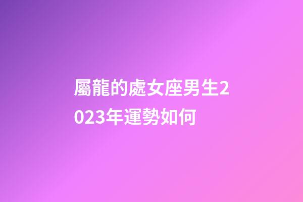 屬龍的處女座男生2023年運勢如何-第1張-星座運勢-玄機派