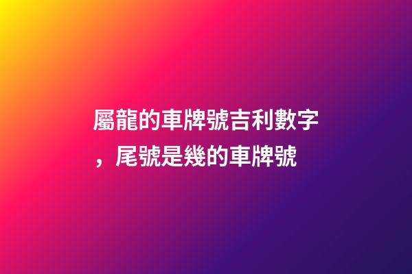 屬龍的車牌號吉利數字，尾號是幾的車牌號-第1張-觀點-玄機派