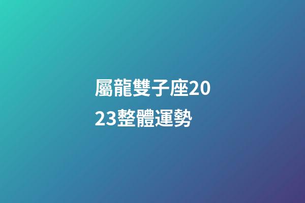 屬龍雙子座2023整體運勢-第1張-星座運勢-玄機派