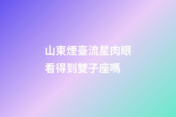 山東煙臺流星肉眼看得到雙子座嗎-第1張-星座運勢-玄機派