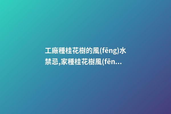 工廠種桂花樹的風(fēng)水禁忌,家種桂花樹風(fēng)水好還是不好？