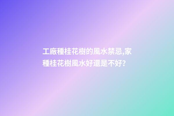 工廠種桂花樹的風水禁忌,家種桂花樹風水好還是不好？