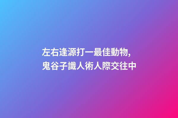 左右逢源打一最佳動物,鬼谷子識人術人際交往中-第1張-觀點-玄機派
