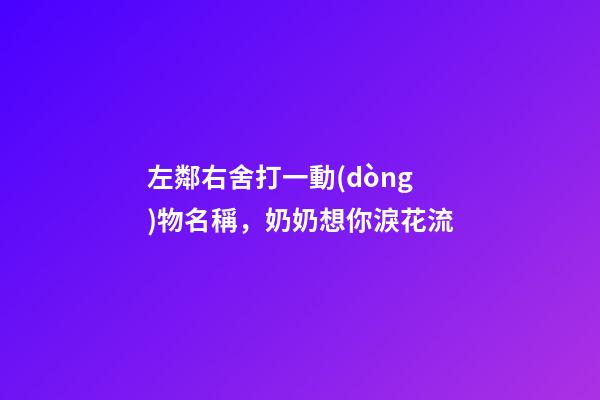 左鄰右舍打一動(dòng)物名稱，奶奶想你淚花流-第1張-觀點(diǎn)-玄機(jī)派