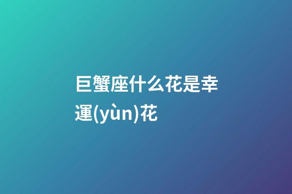 巨蟹座什么花是幸運(yùn)花