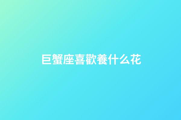 巨蟹座喜歡養什么花-第1張-星座運勢-玄機派