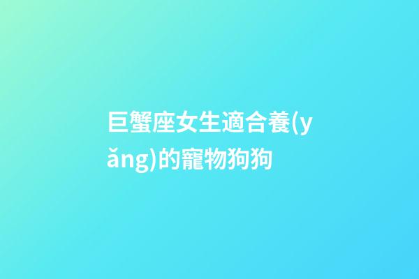 巨蟹座女生適合養(yǎng)的寵物狗狗