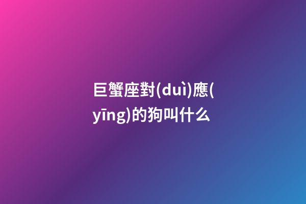 巨蟹座對(duì)應(yīng)的狗叫什么