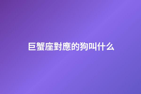 巨蟹座對應的狗叫什么-第1張-星座運勢-玄機派