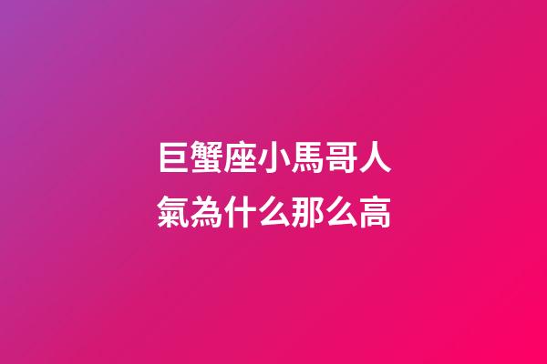 巨蟹座小馬哥人氣為什么那么高