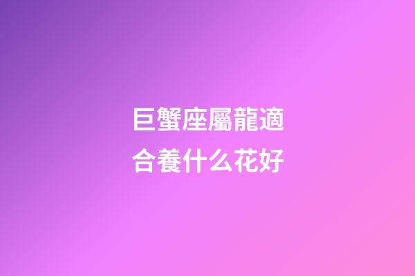 巨蟹座屬龍適合養什么花好-第1張-星座運勢-玄機派