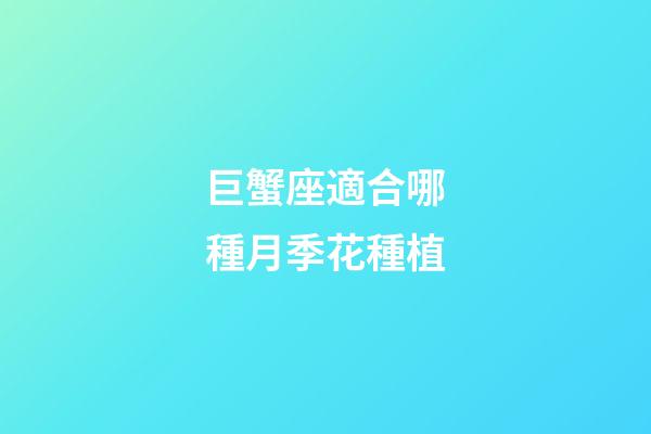 巨蟹座適合哪種月季花種植-第1張-星座運勢-玄機派