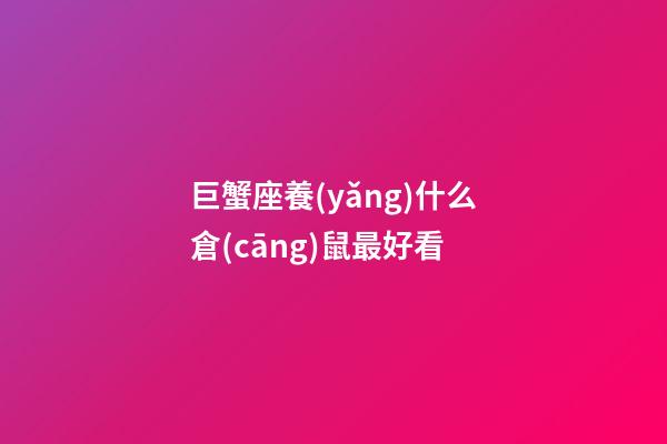 巨蟹座養(yǎng)什么倉(cāng)鼠最好看