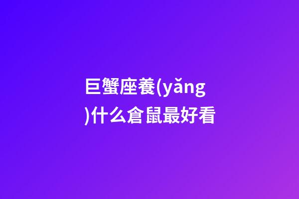巨蟹座養(yǎng)什么倉鼠最好看