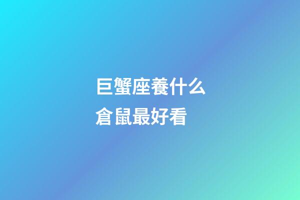 巨蟹座養什么倉鼠最好看