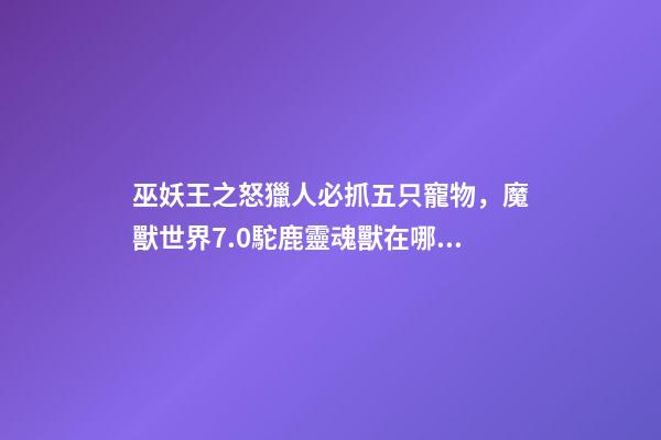 巫妖王之怒獵人必抓五只寵物，魔獸世界7.0駝鹿靈魂獸在哪刷新-第1張-觀點-玄機派
