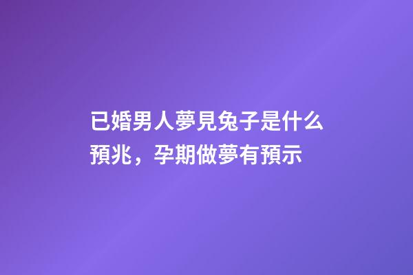 已婚男人夢見兔子是什么預兆，孕期做夢有預示-第1張-觀點-玄機派