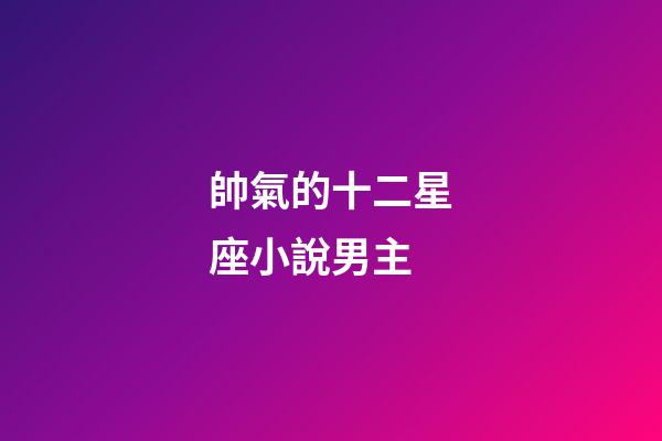 帥氣的十二星座小說男主