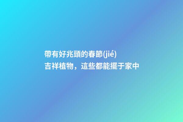 帶有好兆頭的春節(jié)吉祥植物，這些都能擺于家中