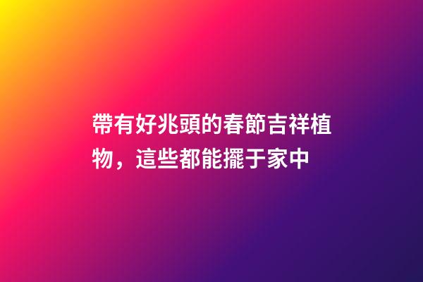 帶有好兆頭的春節吉祥植物，這些都能擺于家中