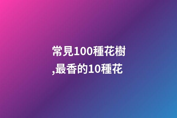 常見100種花樹,最香的10種花-第1張-觀點-玄機派