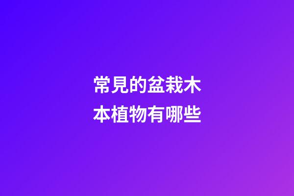 常見的盆栽木本植物有哪些