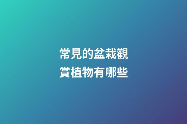 常見的盆栽觀賞植物有哪些