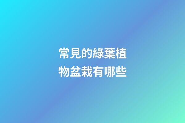 常見的綠葉植物盆栽有哪些