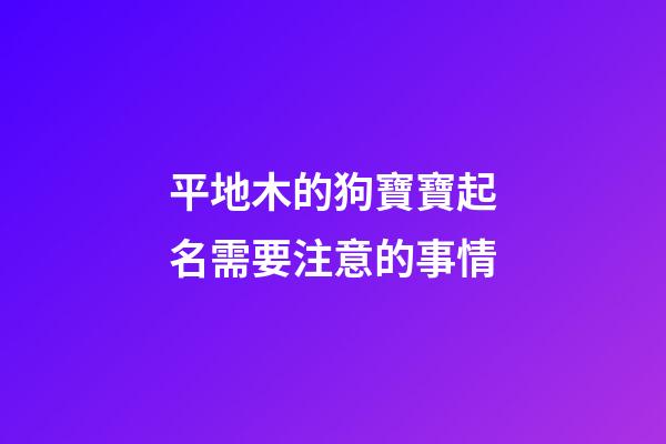 平地木的狗寶寶起名需要注意的事情
