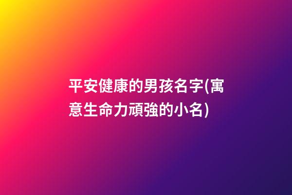 平安健康的男孩名字(寓意生命力頑強的小名)