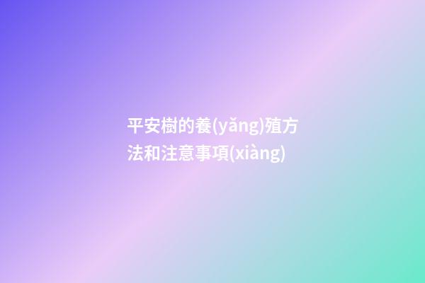 平安樹的養(yǎng)殖方法和注意事項(xiàng)