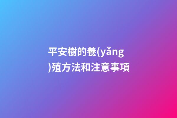 平安樹的養(yǎng)殖方法和注意事項
