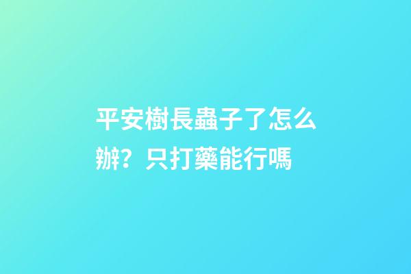 平安樹長蟲子了怎么辦？只打藥能行嗎