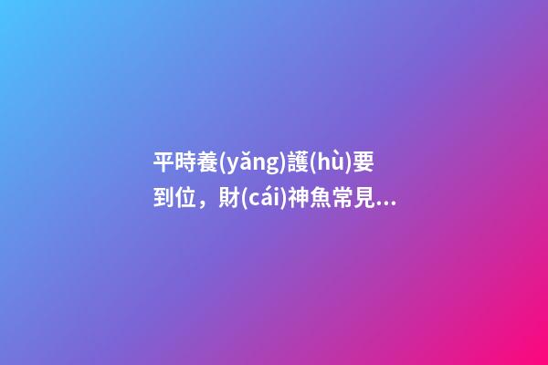平時養(yǎng)護(hù)要到位，財(cái)神魚常見病及治療方法
