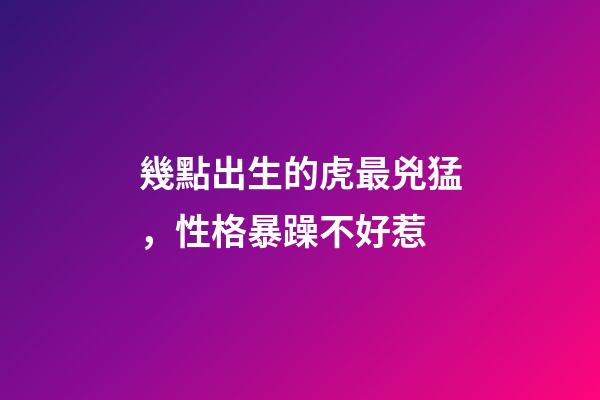 幾點出生的虎最兇猛，性格暴躁不好惹