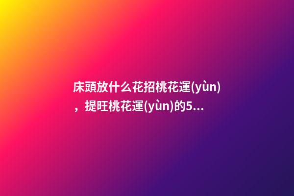 床頭放什么花招桃花運(yùn)，提旺桃花運(yùn)的5種花