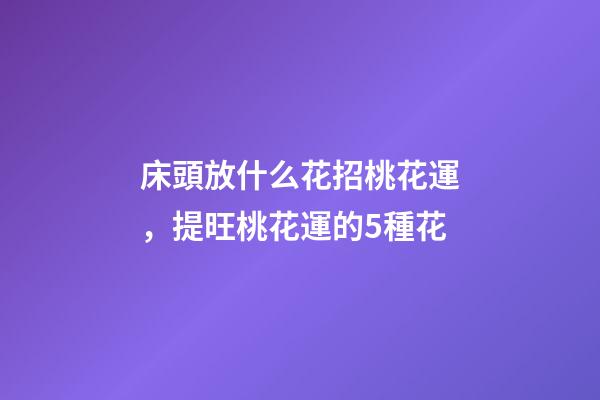 床頭放什么花招桃花運，提旺桃花運的5種花