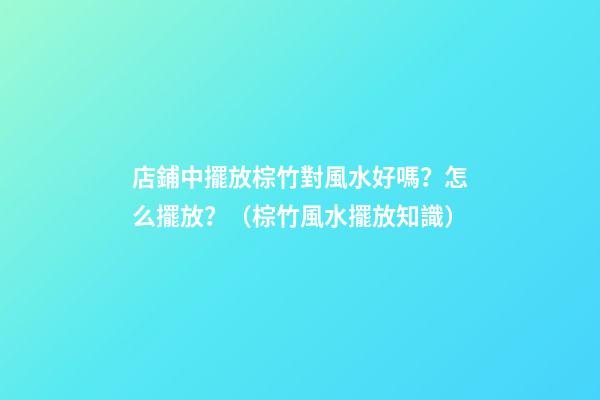 店鋪中擺放棕竹對風水好嗎？怎么擺放？（棕竹風水擺放知識）