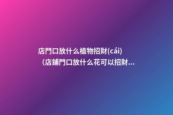 店門口放什么植物招財(cái)（店鋪門口放什么花可以招財(cái)又開運(yùn)）