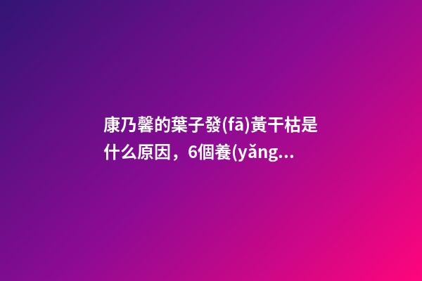 康乃馨的葉子發(fā)黃干枯是什么原因，6個養(yǎng)花“壞習慣”-第1張-觀點-玄機派